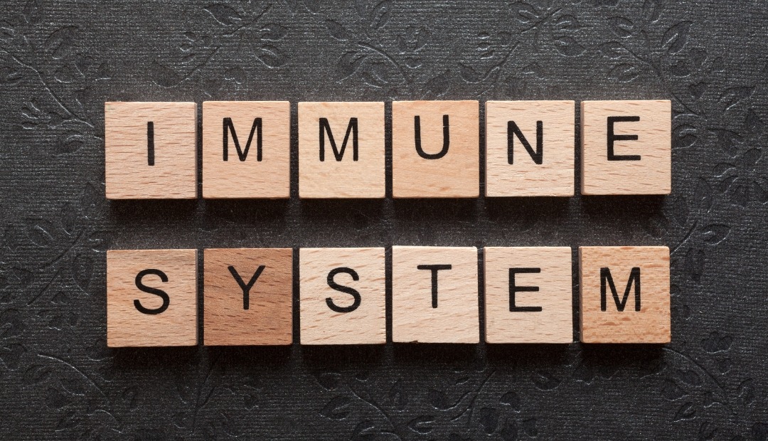 Image for Boost Your Immune System: 5 Effective Tips for Strengthening Your Natural Defenses