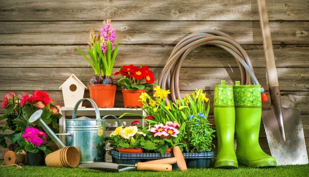 Image for 5 Ways Gardening Can Improve Your Life