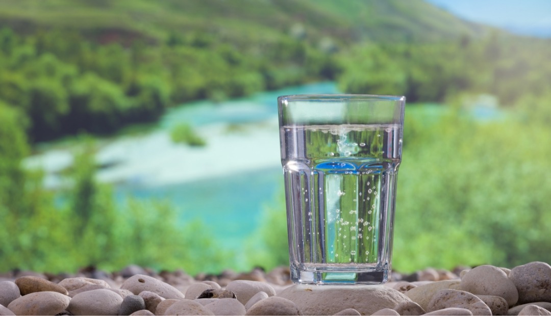 Image for Delve Into the Secrets of Holistic Hydration for Better Health and Energy