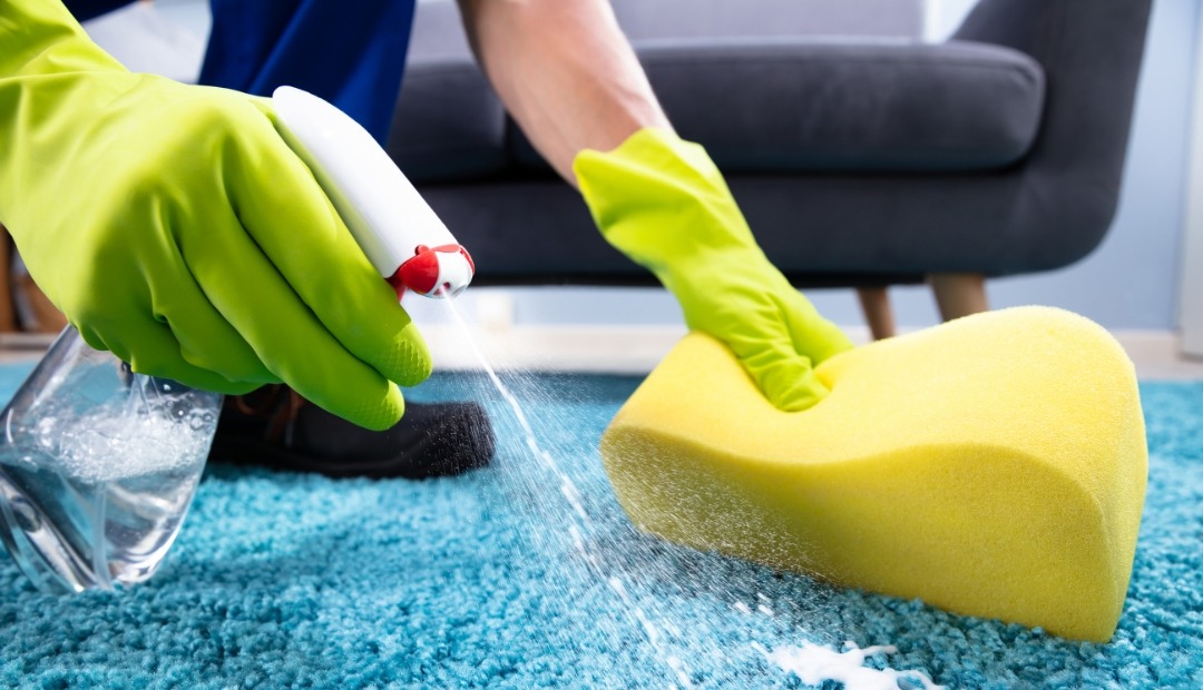 Image for 6 Common Carpet Stains and Tips for Removing Them