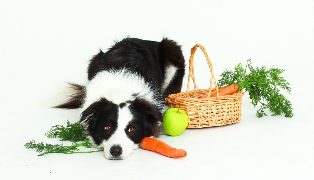 Image for Discover 10 Dog-Friendly Fruits and Vegetables That Make Healthy and Tasty Treats