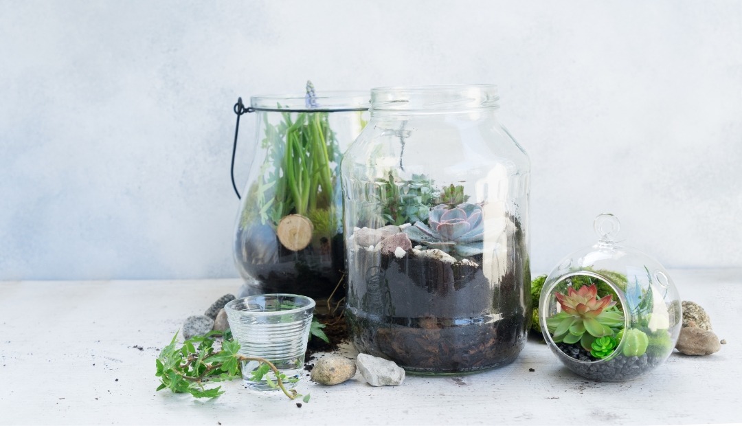 Image for Create Your Own Mini Landscape: A DIY Guide to Building a Terrarium for Your Apartment