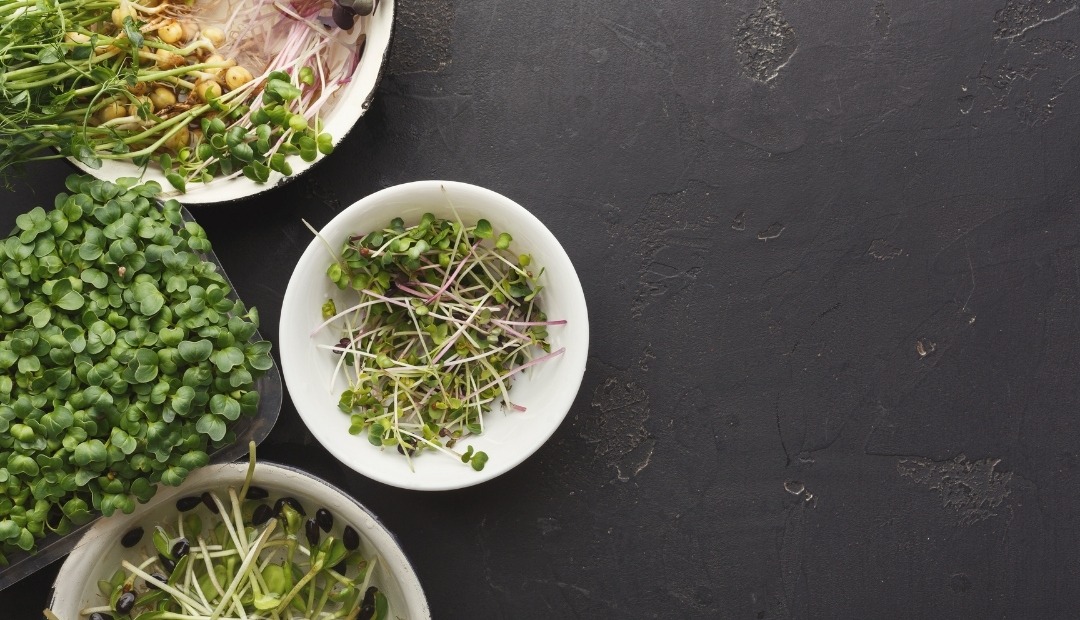 Image for The World of Microgreens: Benefits, Types, and More