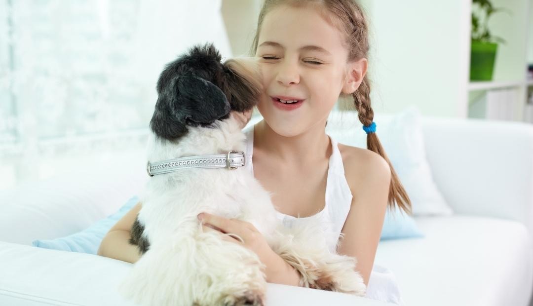 Image for Ways To Strengthen the Bond With Your Dog: Tips for Deepening Your Canine Connection