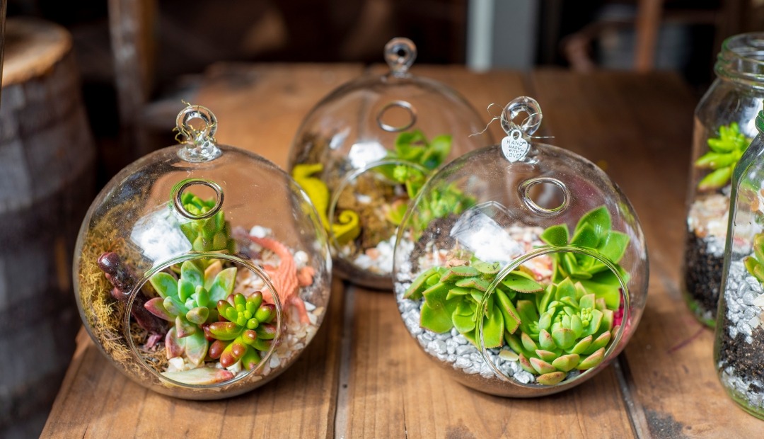 Image for 5 Steps for Creating a Simple Terrarium