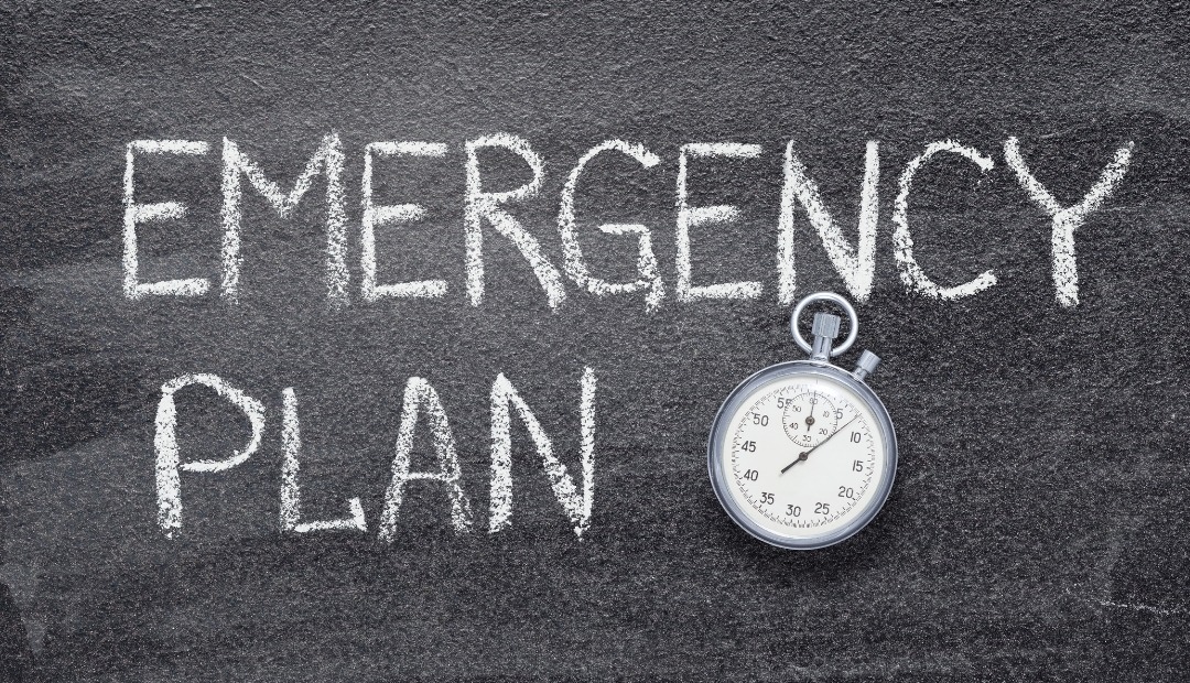 Image for Preparing for the Unexpected: Essential Tips for Emergency Readiness and Resilience