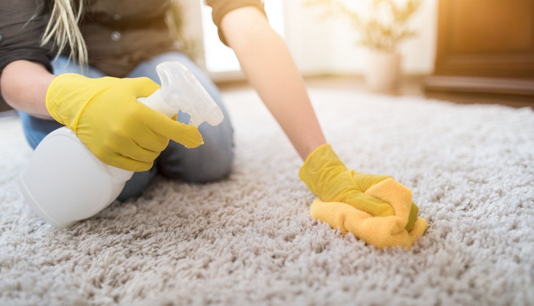 Image for How to Get Rid of the 6 Most Common Carpet Stains