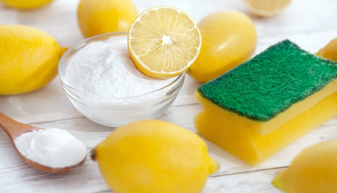 Image for 4 Natural Cleaning Products for Eco-Friendly Apartment Cleaning 