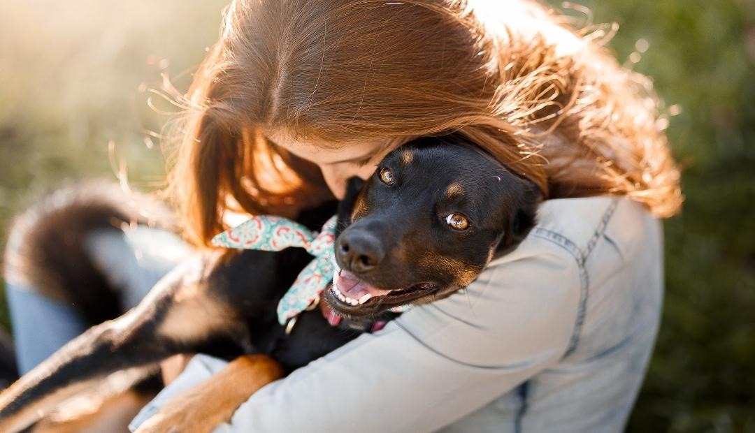 Image for 5 Ways To Bond With Your Dog