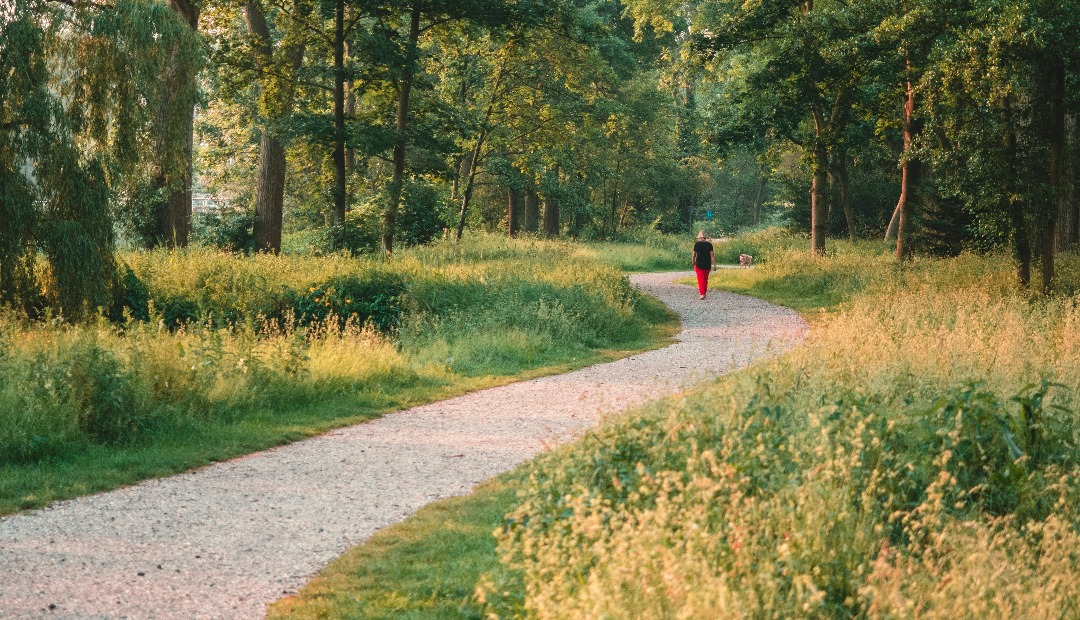 Image for How to Compare Pet-Friendly Rentals With Outdoor Space and Walking Trails