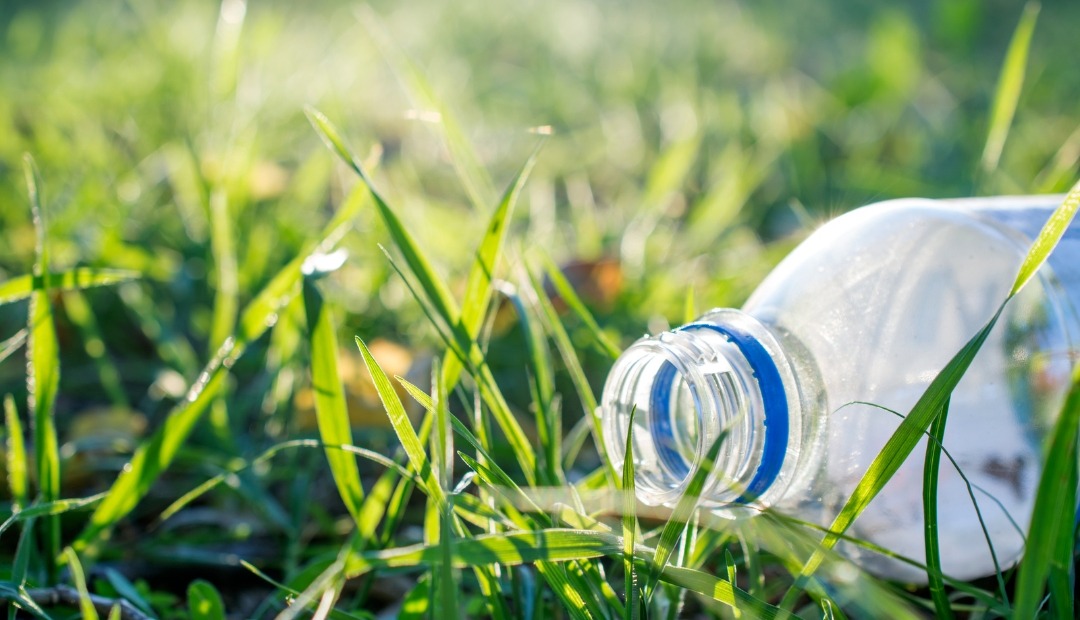 Image for Transform Plastic Bottles into Chic Pots in Just Six Simple Steps