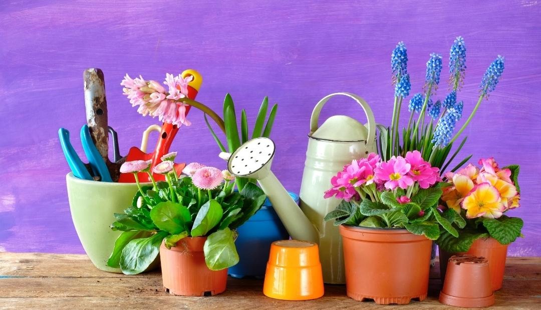 Image for 5 Ways Gardening Can Change Your Life For The Better